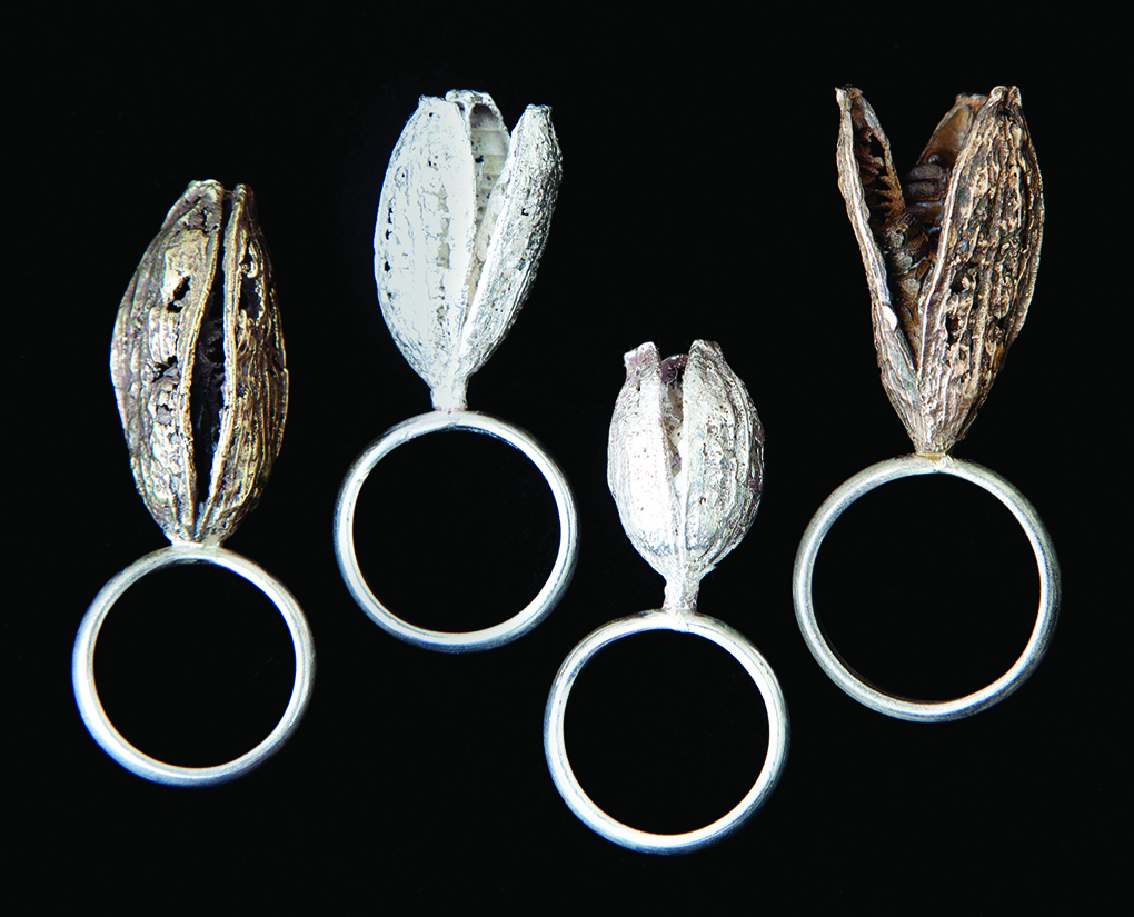 Four iris seed pod rings, silver and bronze