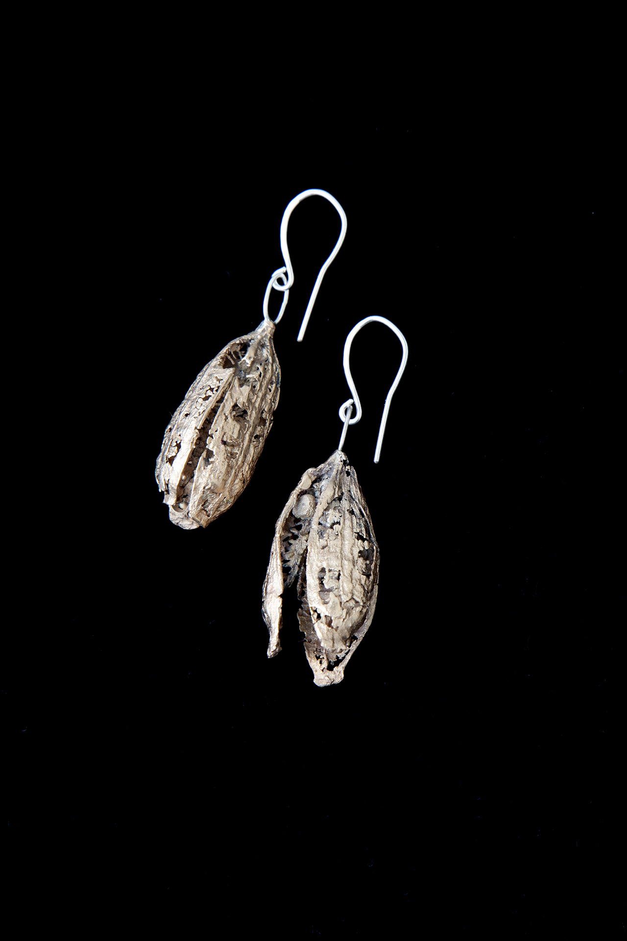 Earrings cast from iris seed pods, bronze