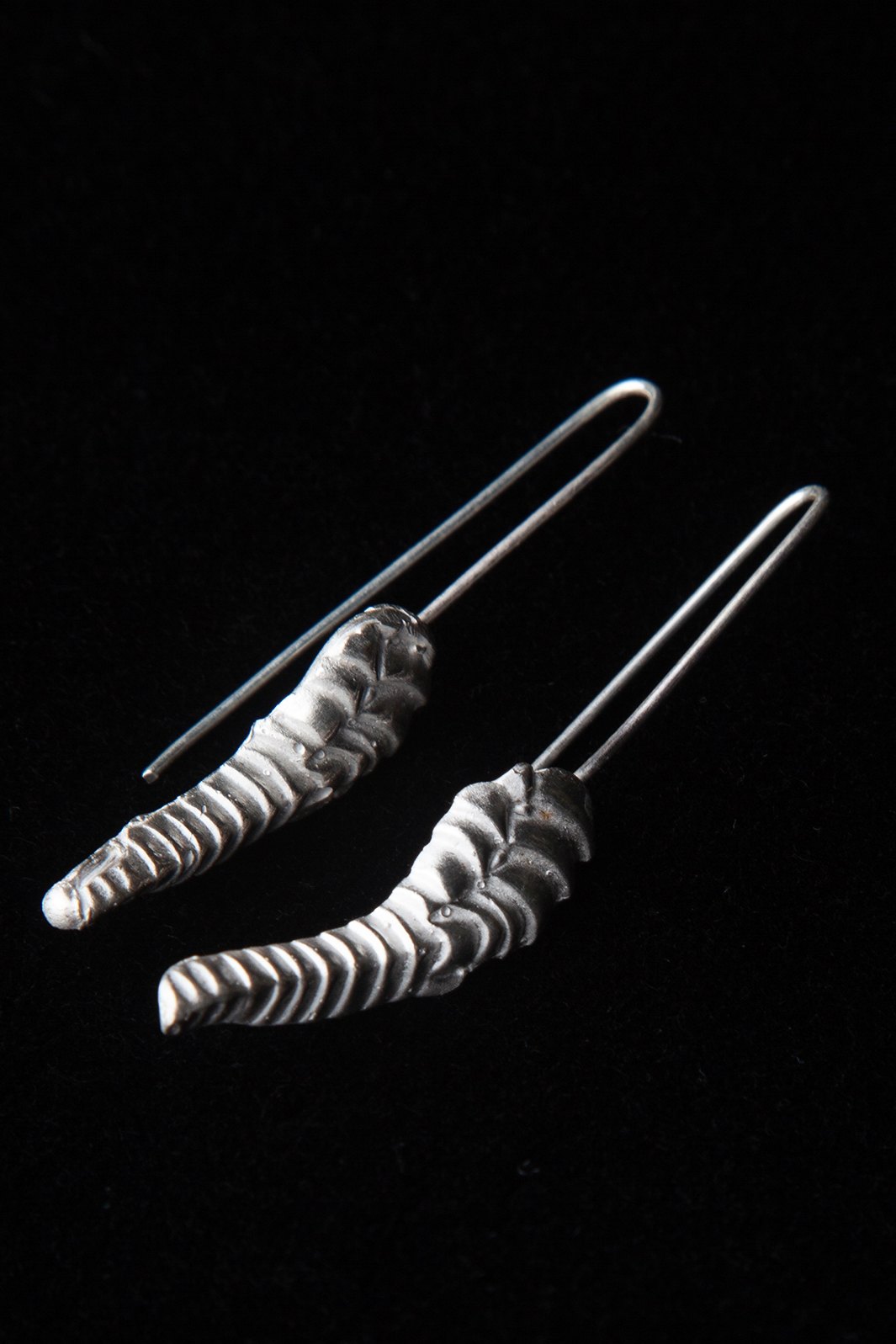 Seahorse tail earrings, cast in silver