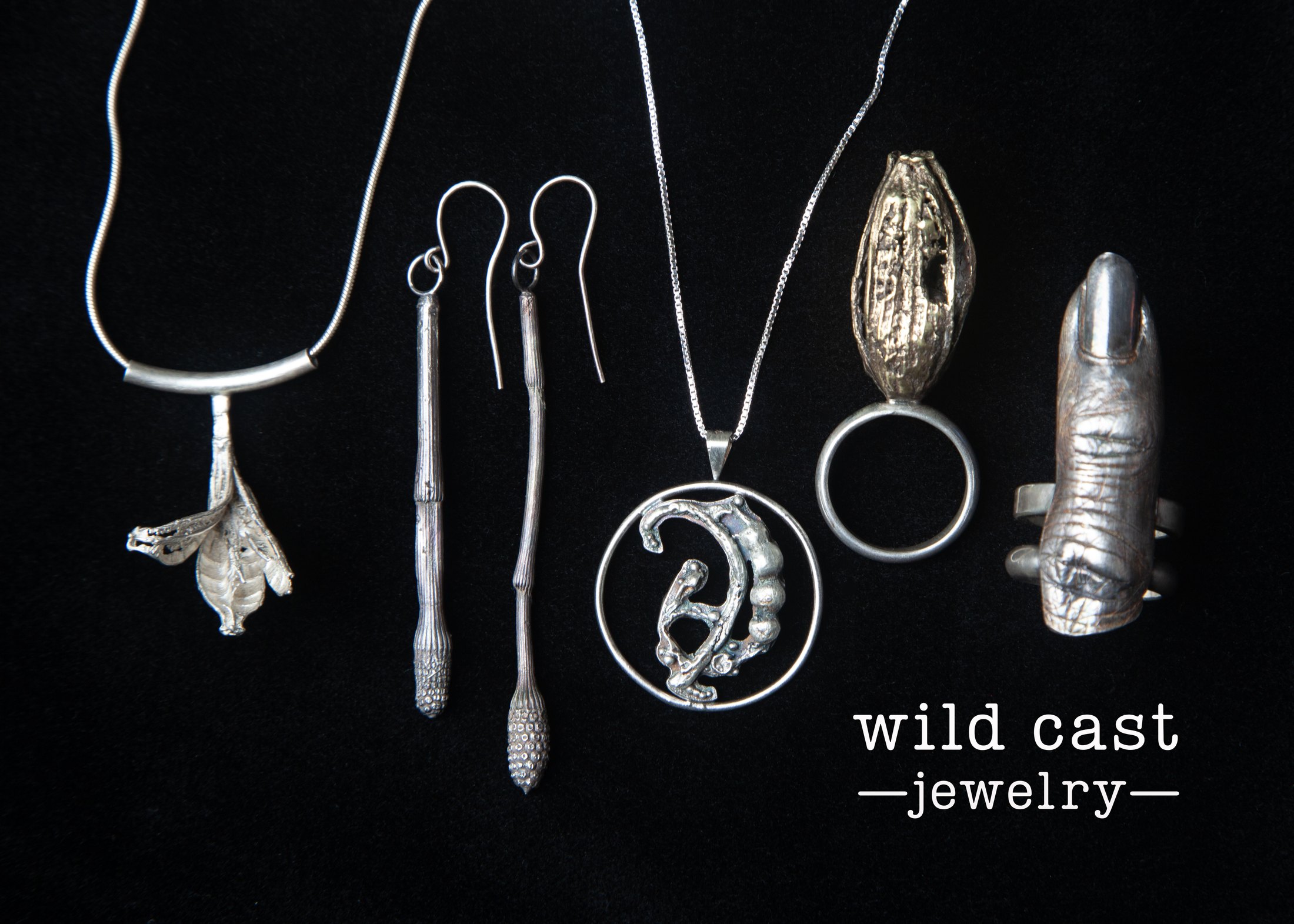Wild Cast Jewelry — seed pod pendant, horsetail earrings, seaweed-form pendant, bronze iris pod ring and a cast finger ring on black velvet, with the wild cast jewelry wordmark